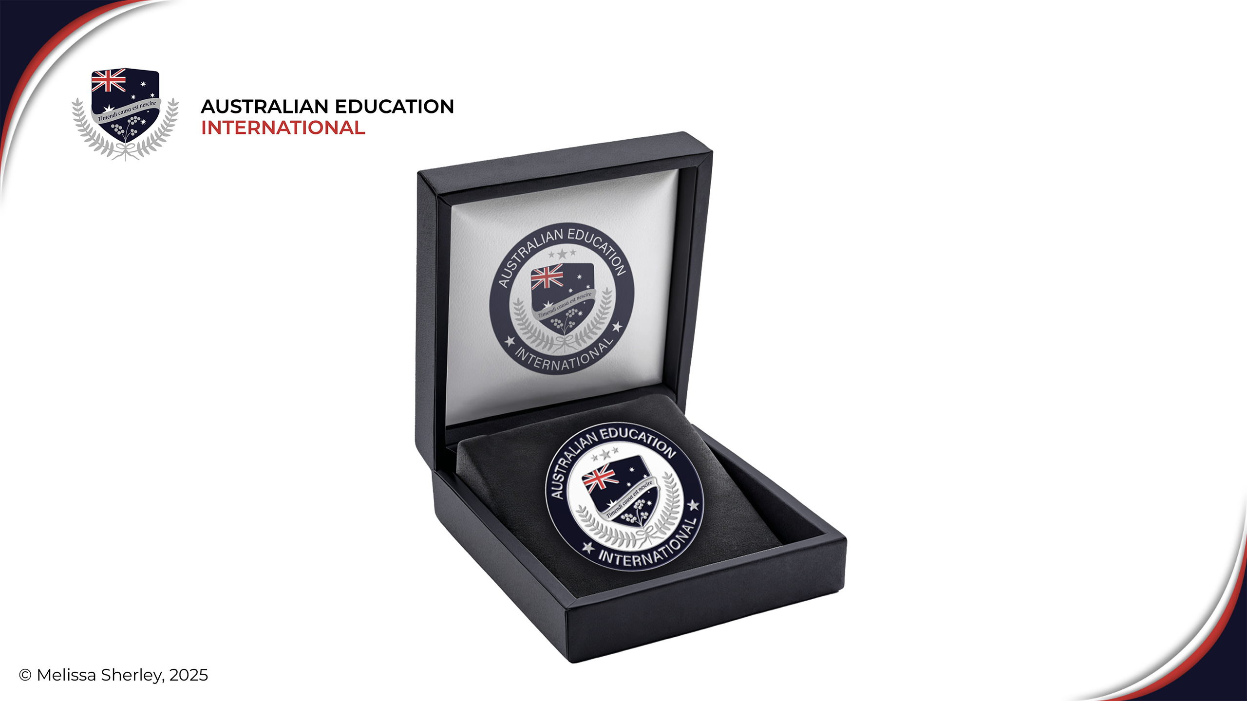 Advocacy pin design by Melissa Sherley